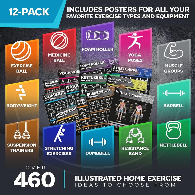 GRAND BASICS [12-PACK] Laminated Large Workout Poster Set - Perfect Workout Posters for Home Gym - Exercise Charts Incl. Dumbbell, Yoga Poses, Resistance Band, Kettlebell, Stretching & More Fitness Gym Posters - Image 3